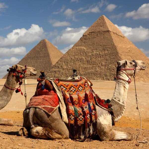 Cairo & Luxor Tour Program – 6 Days / 5 Nights – Image 7